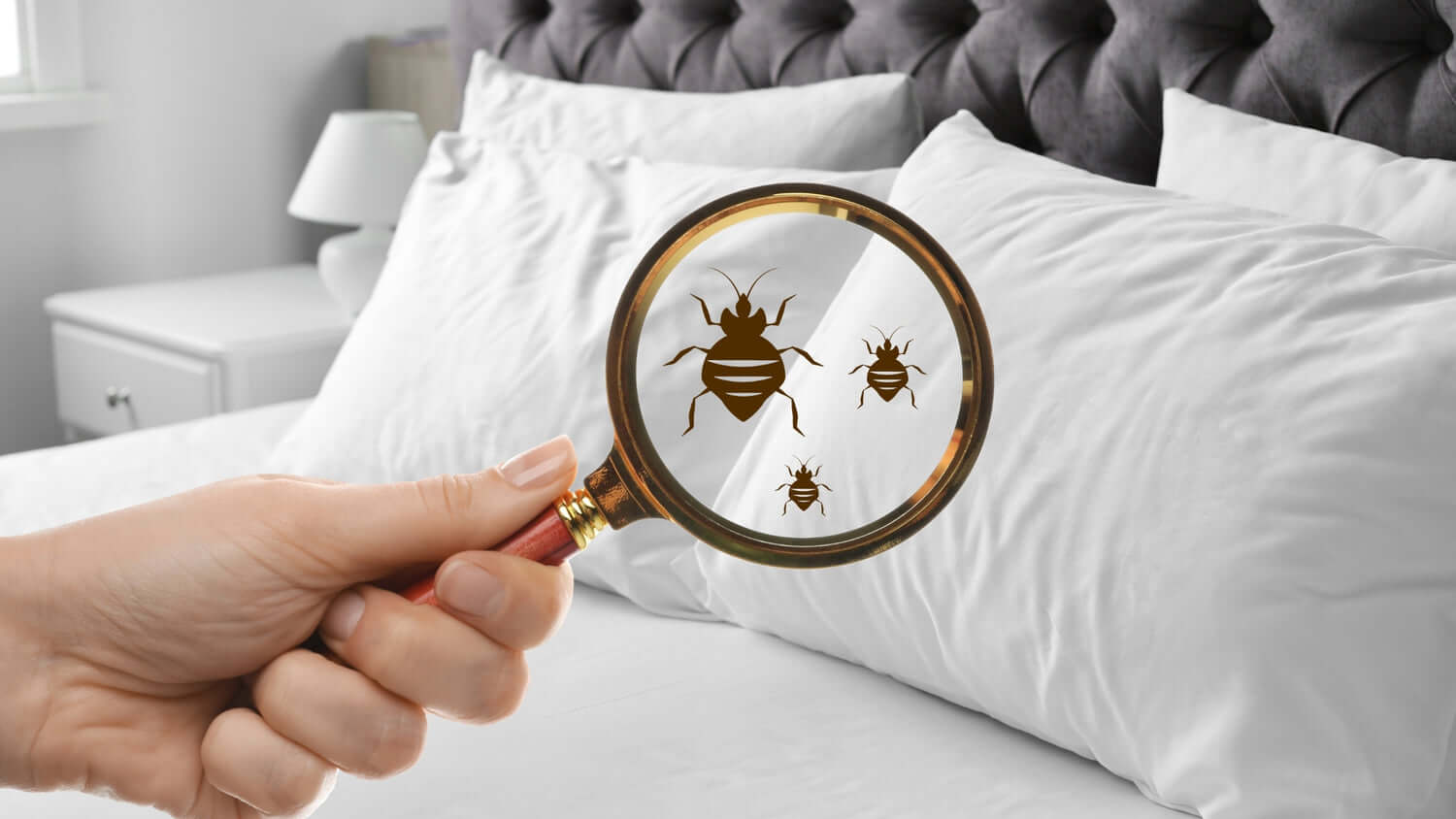 Pillow Care Instructions
