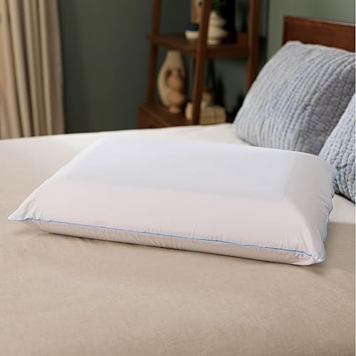 Milemont Memory Foam Pillow